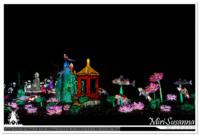 Beekse Bergen Light Safari 2025 IMG_4889