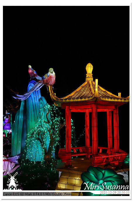 Beekse Bergen Light Safari 2025 IMG_4891