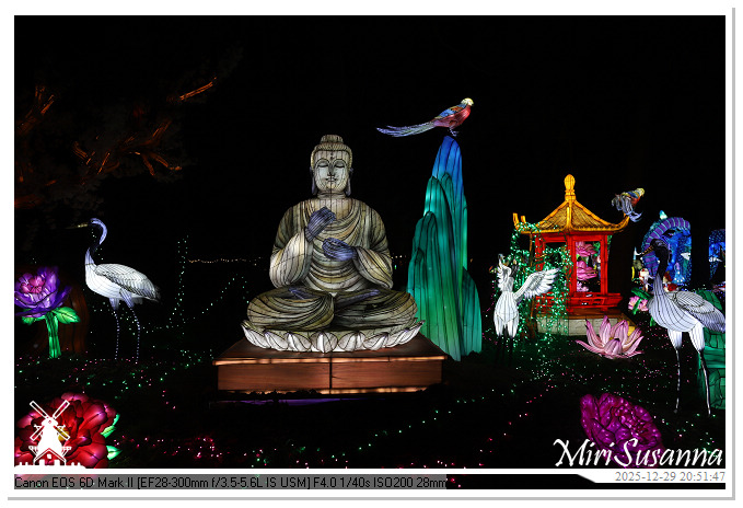 Beekse Bergen Light Safari 2025 IMG_4894