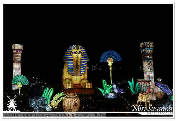 Beekse Bergen Light Safari 2025 IMG_4896