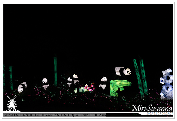 Beekse Bergen Light Safari 2025 IMG_4900