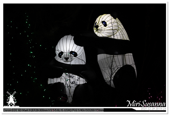 Beekse Bergen Light Safari 2025 IMG_4901