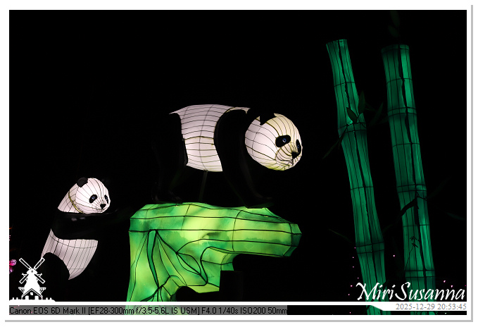 Beekse Bergen Light Safari 2025 IMG_4902