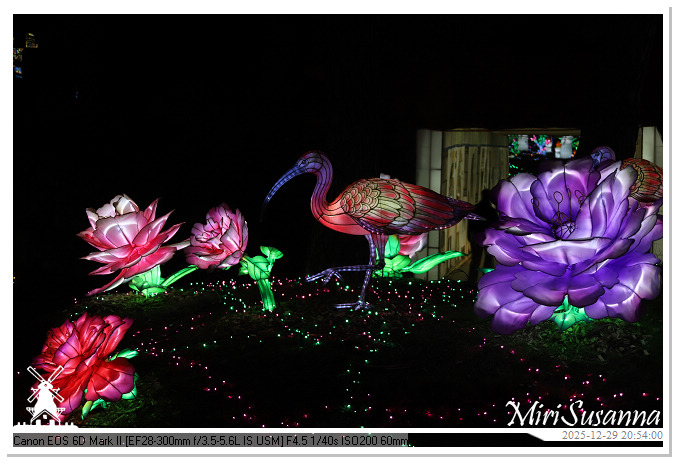 Beekse Bergen Light Safari 2025 IMG_4903