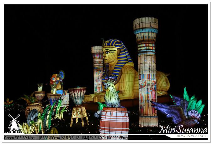 Beekse Bergen Light Safari 2025 IMG_4904