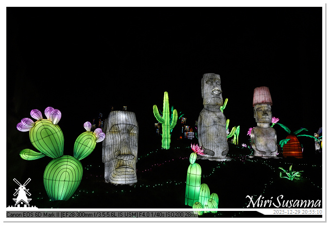 Beekse Bergen Light Safari 2025 IMG_4906