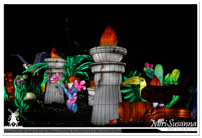 Beekse Bergen Light Safari 2025 IMG_4908