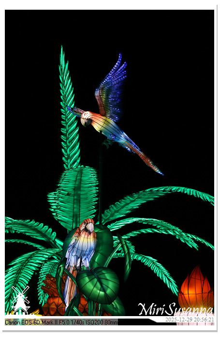 Beekse Bergen Light Safari 2025 IMG_4910