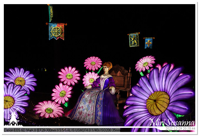 Beekse Bergen Light Safari 2025 IMG_4919