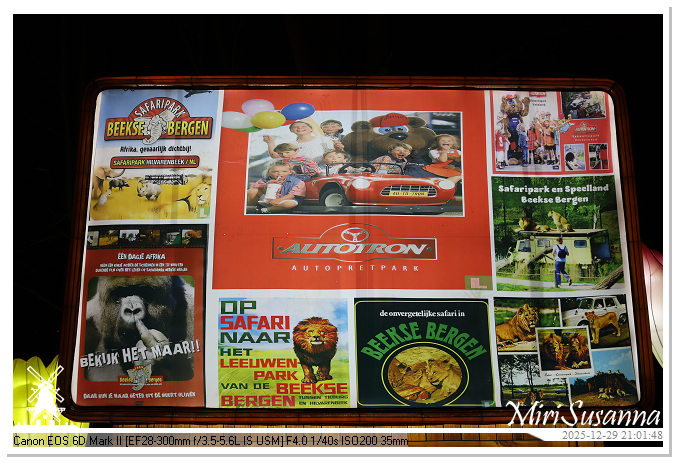 Beekse Bergen Light Safari 2025 IMG_4934