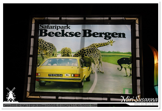 Beekse Bergen Light Safari 2025 IMG_4935