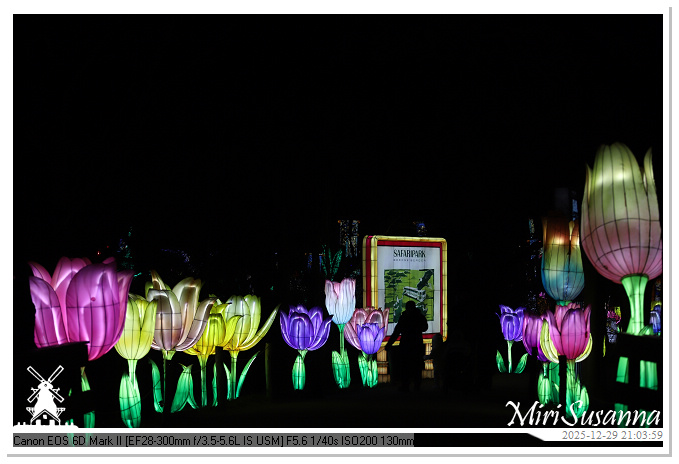 Beekse Bergen Light Safari 2025 IMG_4938