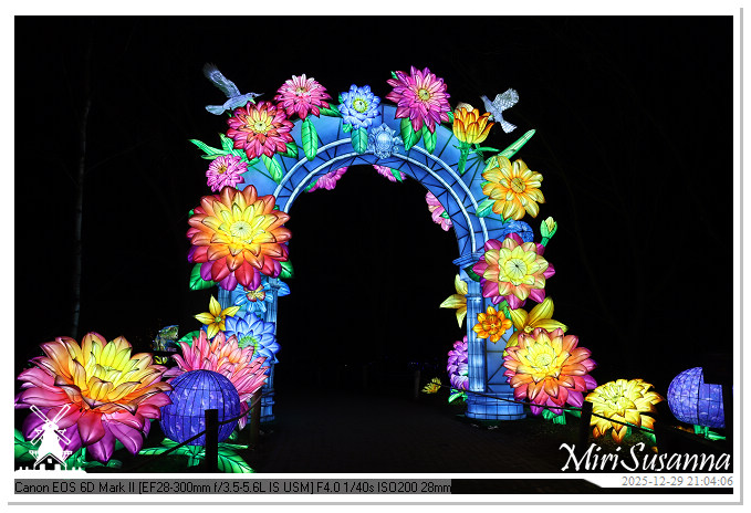 Beekse Bergen Light Safari 2025 IMG_4939