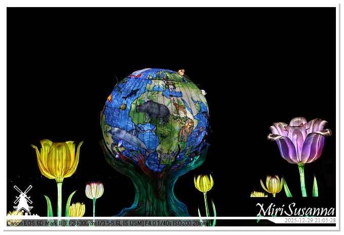 Beekse Bergen Light Safari 2025 IMG_4940