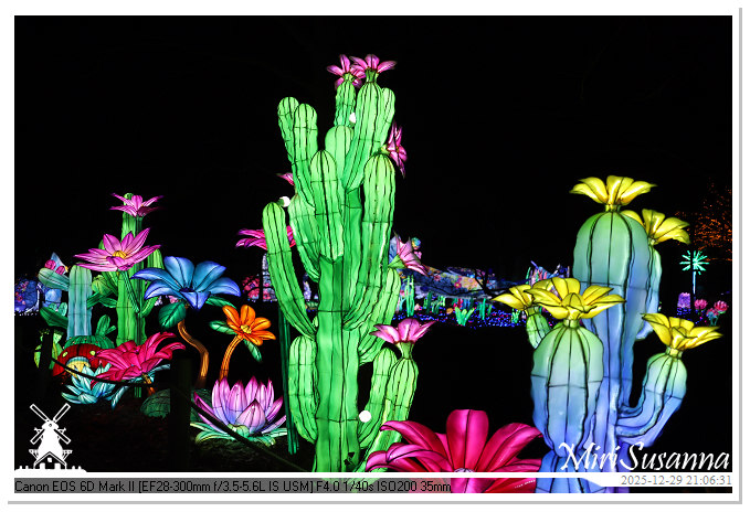 Beekse Bergen Light Safari 2025 IMG_4944