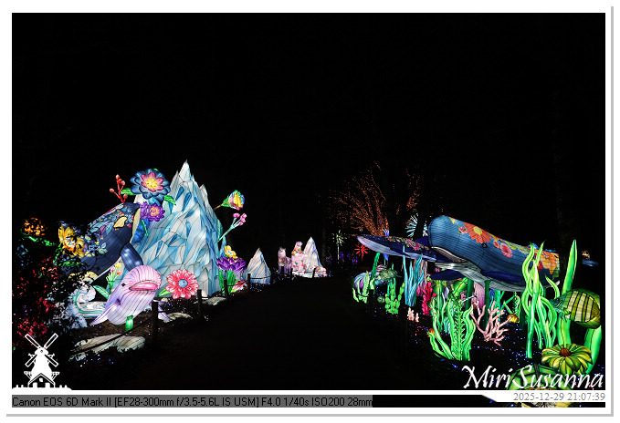 Beekse Bergen Light Safari 2025 IMG_4948