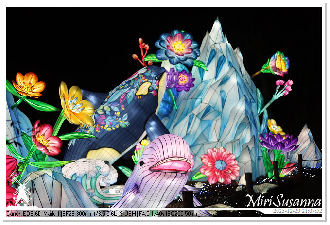 Beekse Bergen Light Safari 2025 IMG_4949