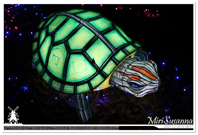 Beekse Bergen Light Safari 2025 IMG_4951