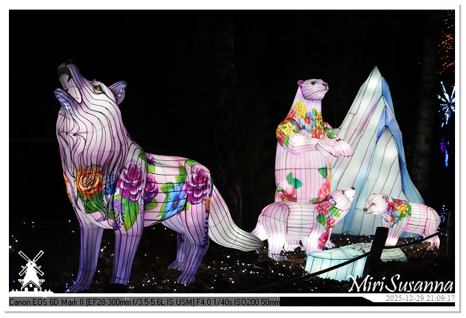 Beekse Bergen Light Safari 2025 IMG_4956