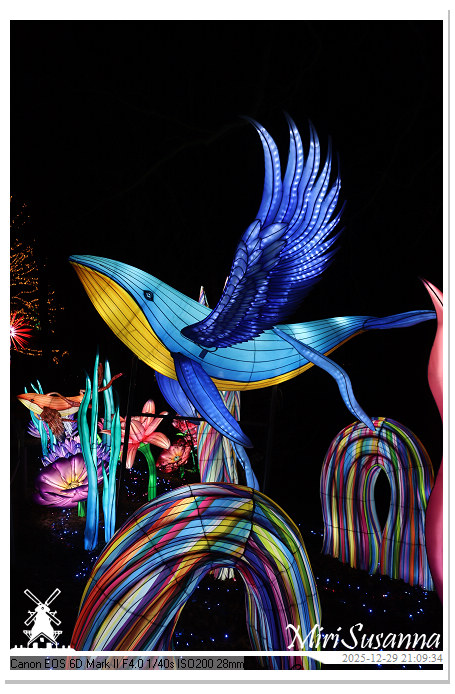 Beekse Bergen Light Safari 2025 IMG_4957