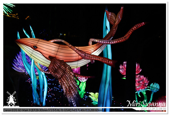 Beekse Bergen Light Safari 2025 IMG_4958