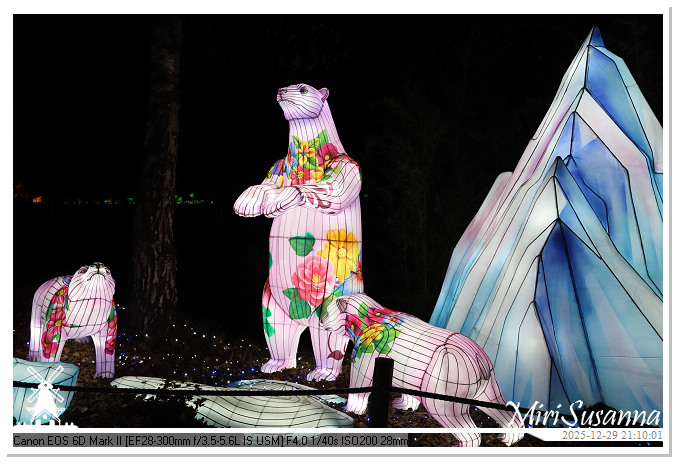 Beekse Bergen Light Safari 2025 IMG_4959