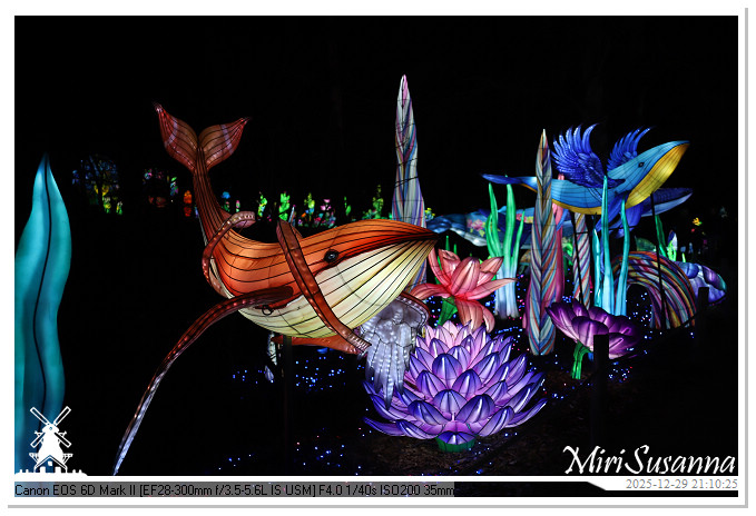 Beekse Bergen Light Safari 2025 IMG_4960