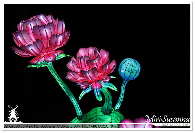 Beekse Bergen Light Safari 2025 IMG_4961