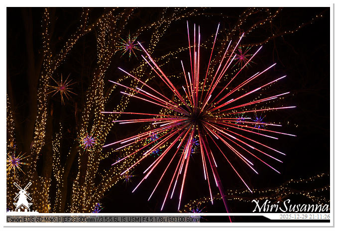 Beekse Bergen Light Safari 2025 IMG_4967