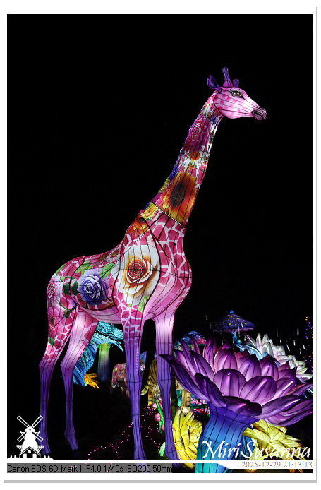 Beekse Bergen Light Safari 2025 IMG_4971