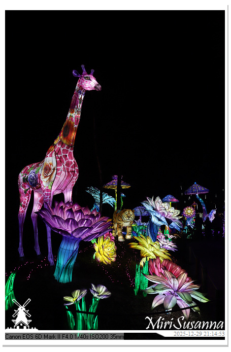 Beekse Bergen Light Safari 2025 IMG_4977