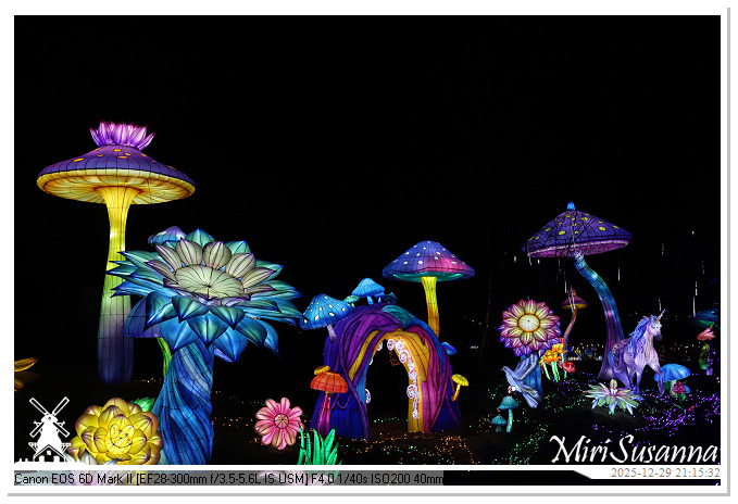 Beekse Bergen Light Safari 2025 IMG_4979