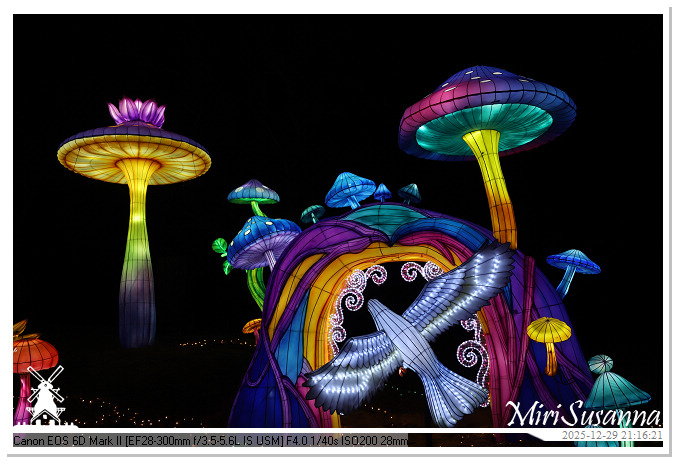 Beekse Bergen Light Safari 2025 IMG_4982