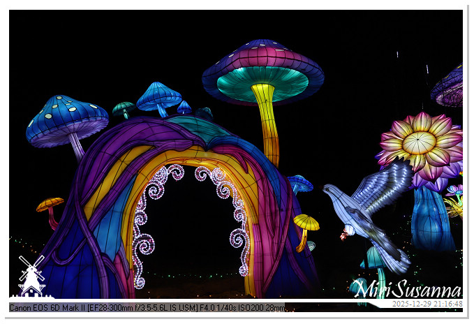 Beekse Bergen Light Safari 2025 IMG_4984