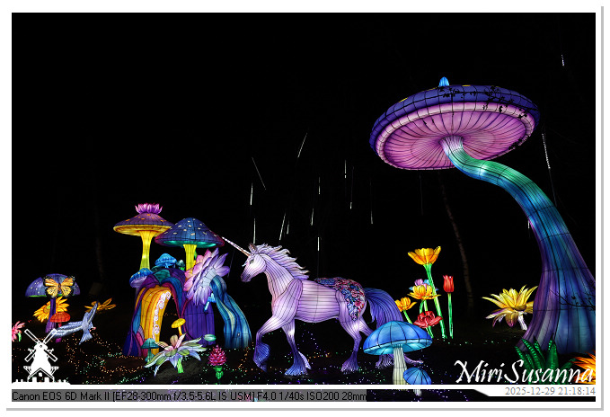 Beekse Bergen Light Safari 2025 IMG_4989