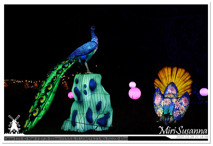 Beekse Bergen Light Safari 2025 IMG_4990