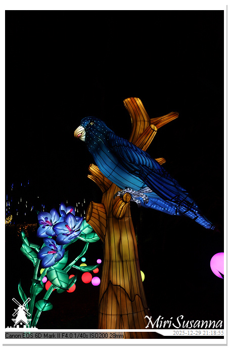 Beekse Bergen Light Safari 2025 IMG_4991