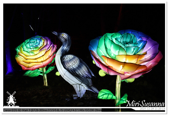 Beekse Bergen Light Safari 2025 IMG_4994