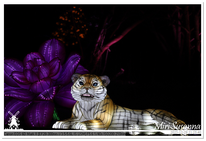 Beekse Bergen Light Safari 2025 IMG_4997