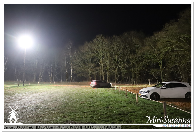 Beekse Bergen Light Safari 2025 IMG_5002