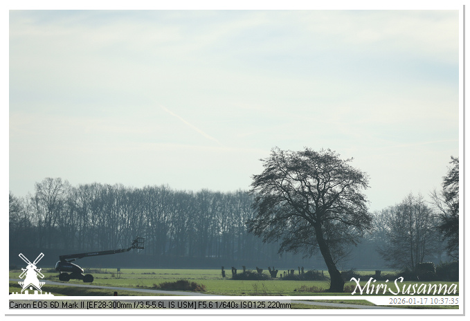 Strabrechtse Heide IMG_5485