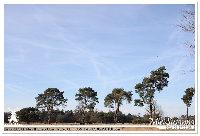 Strabrechtse Heide IMG_5511