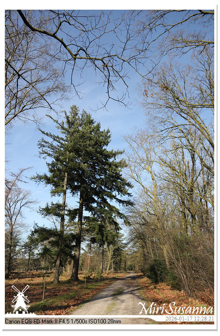 Strabrechtse Heide IMG_5514