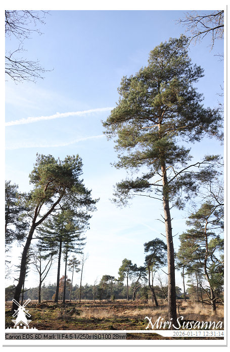 Strabrechtse Heide IMG_5515