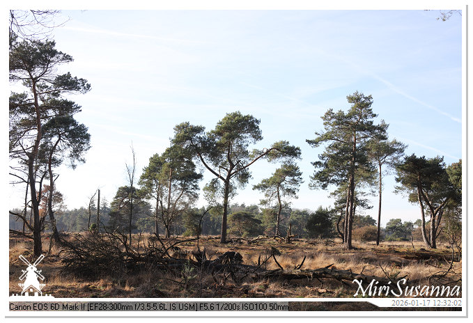 Strabrechtse Heide IMG_5517