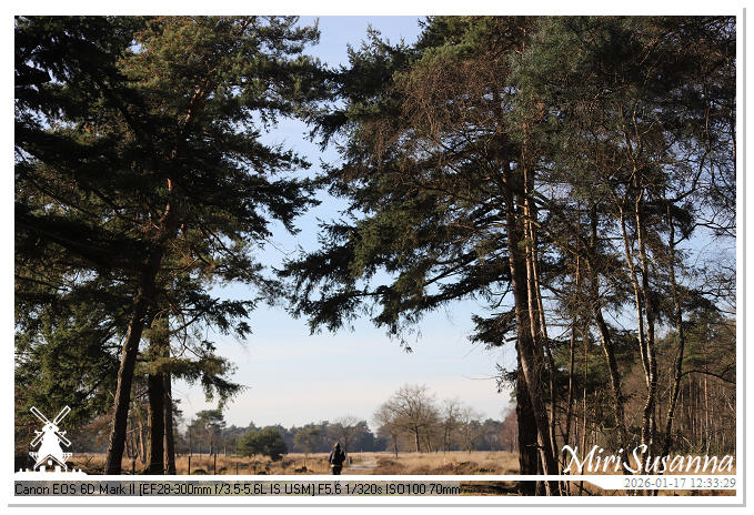 Strabrechtse Heide IMG_5518