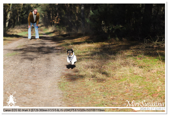 Strabrechtse Heide IMG_5523
