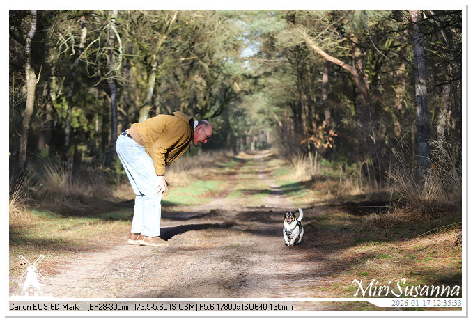 Strabrechtse Heide IMG_5527