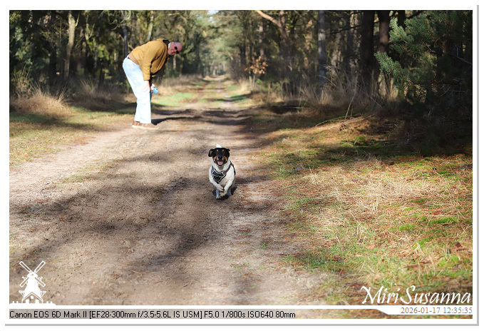 Strabrechtse Heide IMG_5531