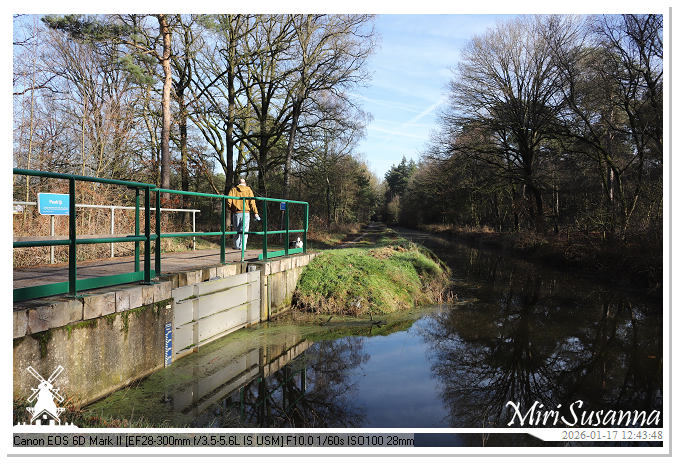 Strabrechtse Heide IMG_5540